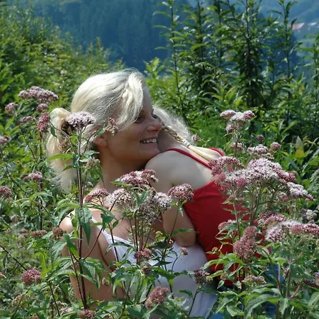 Hotel-pension Breig Garni 3* Ottenhöfen im Schwarzwald