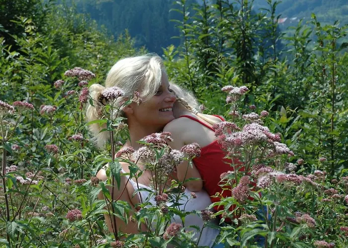 Hotel-pension Breig Garni 3* Ottenhofen im Schwarzwald